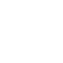 Windows 11
